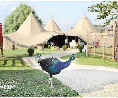 Skipbridge Farm Shepherds Huts Campground Green Hammerton Exterior foto